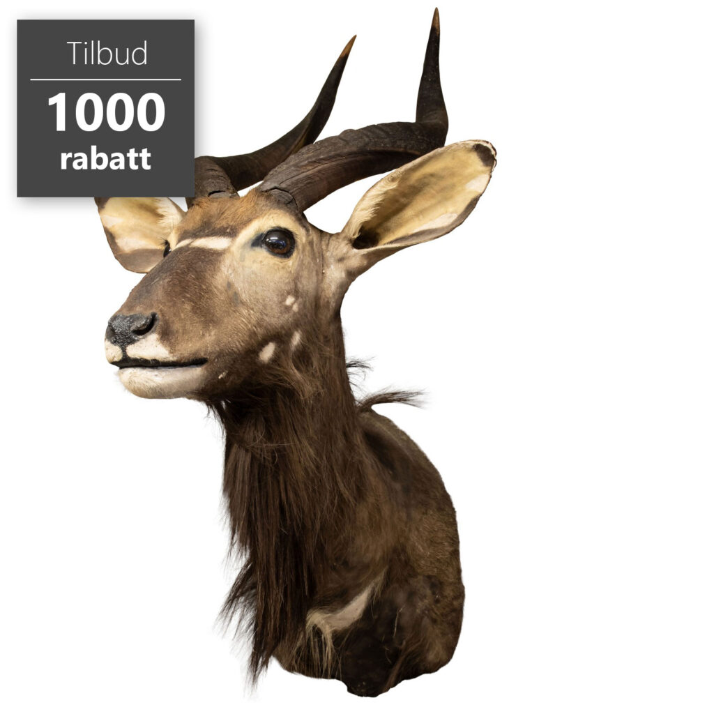 Nyala