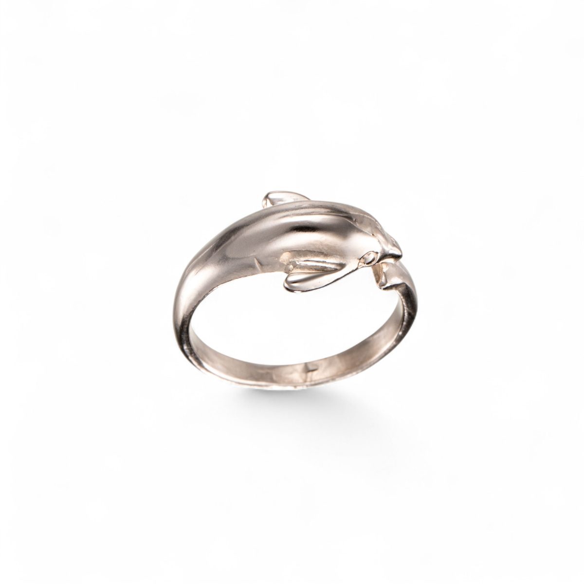 Delfinring, uedel - Bilde 3