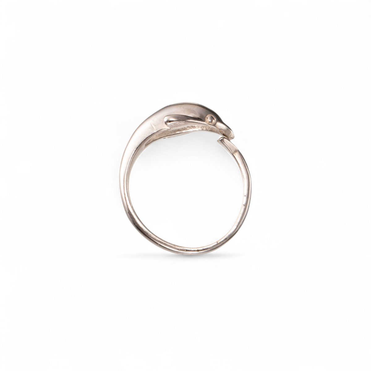 Delfinring, uedel - Bilde 2