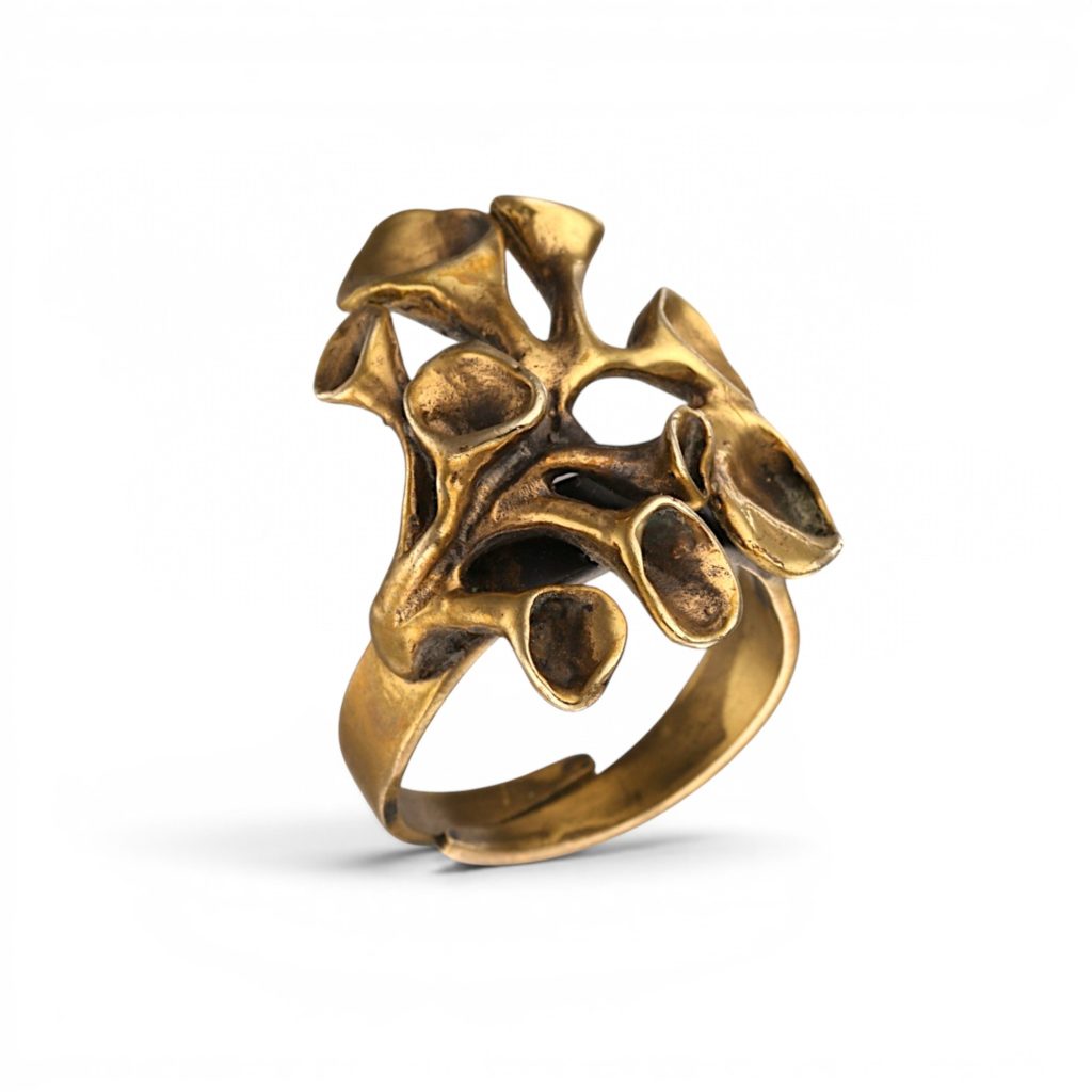 Reinlav ring, bronse