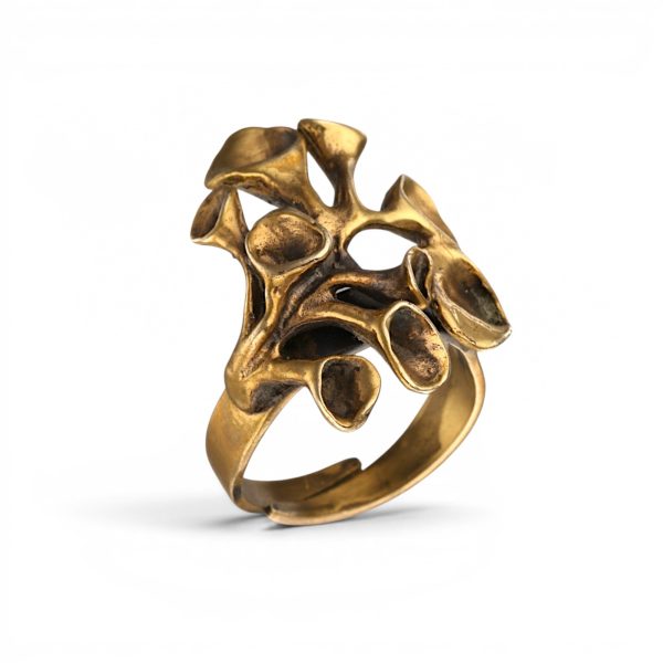Reinlav ring, bronse